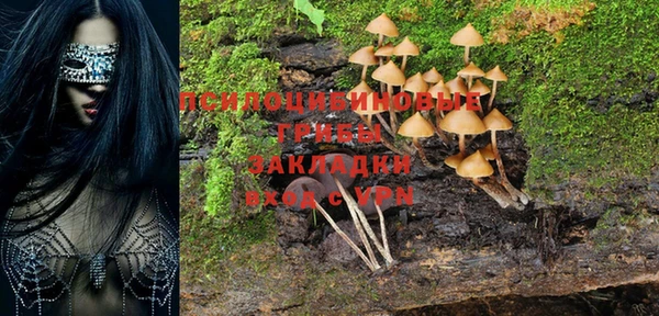 МДПВ Медногорск