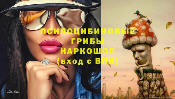 МДПВ Медногорск